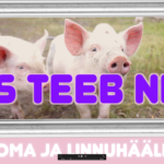 Kes teeb nii ? Looma- ja linnuhääled / Laikrete lastekas