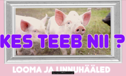 Kes teeb nii ? Looma- ja linnuhääled / Laikrete lastekas