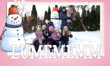 LUMEMEMM ⛄️❄️ / Laikrete Lastekas